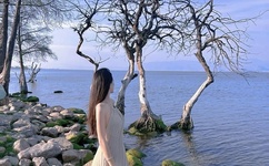 张晓雨所有图片